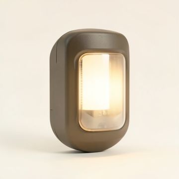 Schutt 2-Light Outdoor Bulkhead Light (synthetic illustration; no displayed measurements)