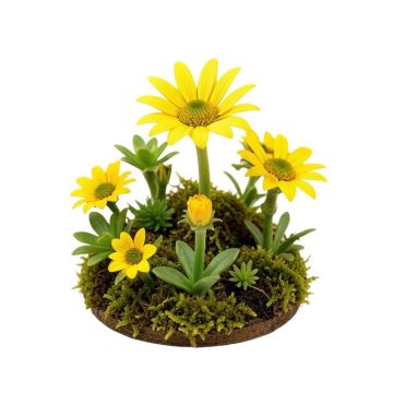 Miniature Solar Flower Shop Fairy Garden