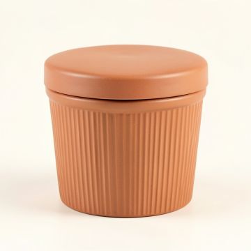 Maple Arc Storage Canister With Lid - Terracotta (synthetic illustration; no displayed measurements)
