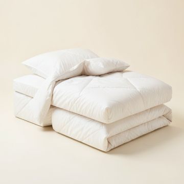 Placencia 3 Piece Queen Duvet Cover Set (synthetic illustration; no displayed measurements)
