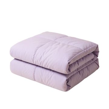 Alvontae Comforter Set (synthetic illustration; no displayed measurements)