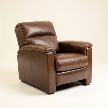 Dayse 31 '' Wide Genuine Leather Manual Standard Recliner (synthetic illustration; no displayed measurements)