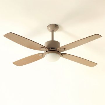 56 '' Falzone 5 - Blade Standard Ceiling Fan (synthetic illustration; no displayed measurements)