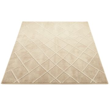 Spruce Bluff Rectangular Area Rug - Beige