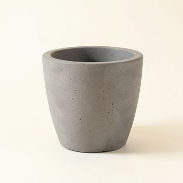Terri Concrete Pot Planter (synthetic illustration; no displayed measurements)
