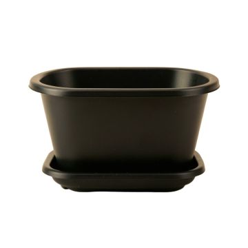 Briar Arc Empty Raised Planter