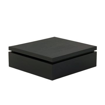 Wren Branch Desktop Monitor Riser - Black