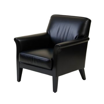 Leaman 27.95 '' Wide Armchair