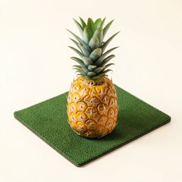 Fagan Welcome Pineapple 30 In . X 18 In . Non-Slip Outdoor Door Mat (synthetic illustration; no displayed measurements)