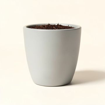 Friedman Pot Planter (synthetic illustration; no displayed measurements)
