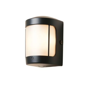 Mccollum 2-Light Led Outdoor Armed Sconce