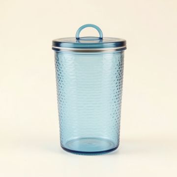 Holly Canyon Storage Canister With Lid - Blue (synthetic illustration; no displayed measurements)