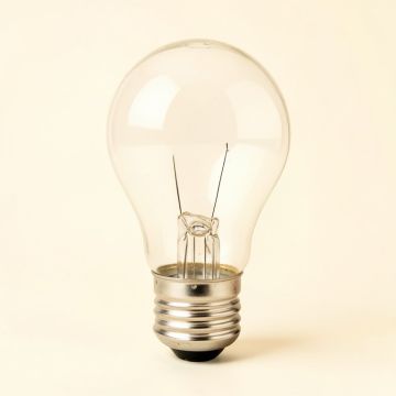 60 Watt , A19 Incandescent Dimmable Light Bulb , 2200K E26/Medium ( Standard ) Base (synthetic illustration; no displayed measurements)