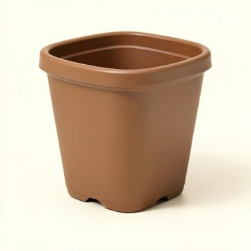 Linstead Self-Watering Plastic Planter Box (synthetic illustration; no displayed measurements)