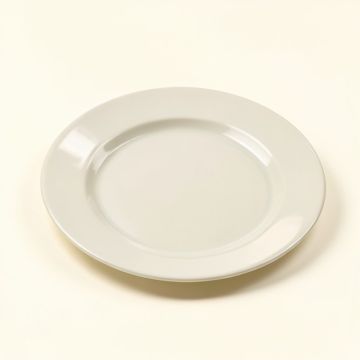 Vinny 9 '' Melamine Salad Plate (synthetic illustration; no displayed measurements)