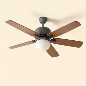 20 '' Haya 3 - Blade Caged Ceiling Fan With Remote Control And Light Kit Included (synthetic illustration; no displayed measurements)