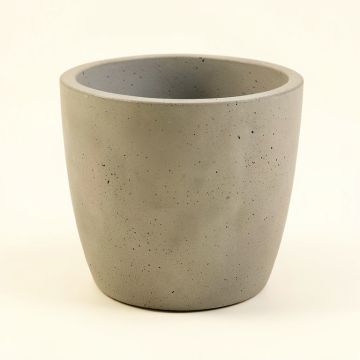Olive Harvest Basket Concrete Pot Planter (synthetic illustration; no displayed measurements)