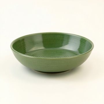 Birch Canyon Dining Bowl - Green (synthetic illustration; no displayed measurements)
