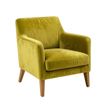 36.25 '' Wide Velvet Armchair