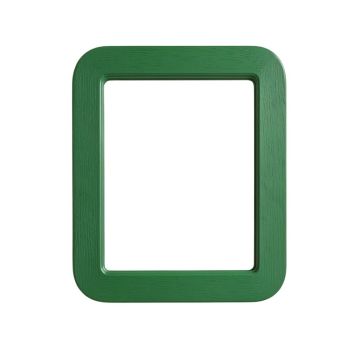 Brook Branch Framed Wall Mirror - Green