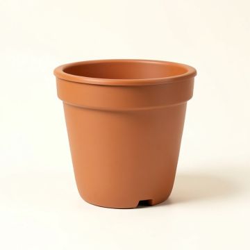 Callan Self-Watering Plastic Pot Planter (synthetic illustration; no displayed measurements)