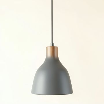 Vale Crest Pendant Light Suspended From One Plain Cable - Gray (synthetic illustration; no displayed measurements)