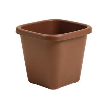 Pacheco Self-Watering Plastic Elevated Planter