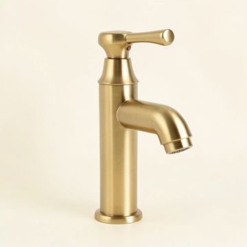 Elite Solid Brass Tall Single Handle Lever Bathroom Lavatory Faucet With Downward Slanted Spout (synthetic illustration; no displayed measurements)