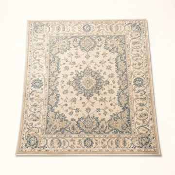Hillsby Oriental Blue/Beige Area Rug (synthetic illustration; no displayed measurements)