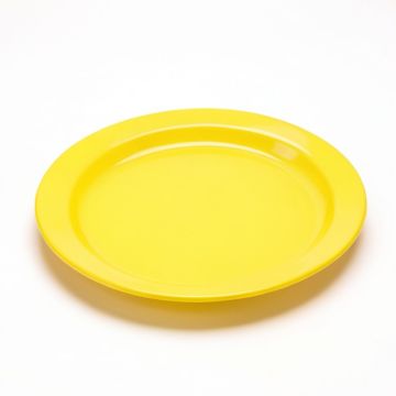 Alamar Maple 9.5 '' Melamine Salad Plate (synthetic illustration; no displayed measurements)
