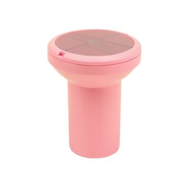 Pink Solar Powered Pathway Light
