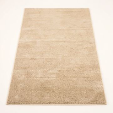 Beaverton Bohemian Tufted Wool Beige Area Rug (synthetic illustration; no displayed measurements)