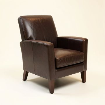 Essential Genuine Leather Upholstered Dining Chair (synthetic illustration; no displayed measurements)
