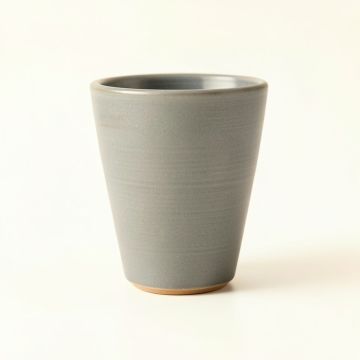 Fern Dale Ceramic Mug - Gray (synthetic illustration; no displayed measurements)