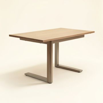Lieb Extendable Dining Table (synthetic illustration; no displayed measurements)