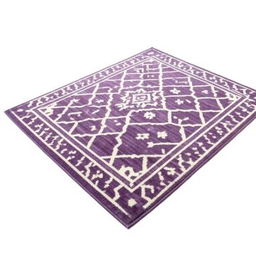 Creedan Geometric Purple/White Area Rug