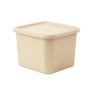 Lake Branch Closed Outdoor Storage Box - Beige