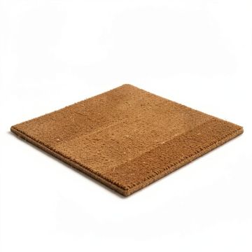 Aneesh Best Journeys Lead Home 30 In . X 18 In . Indoor / Outdoor Door Mat (synthetic illustration; no displayed measurements)