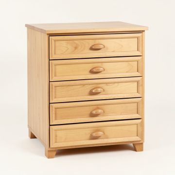 5 Drawer Storage Chest (synthetic illustration; no displayed measurements)