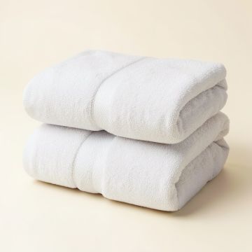 Braswell Zero Twist 2 Piece 100 % Cotton Bath Sheet Towel Set (synthetic illustration; no displayed measurements)