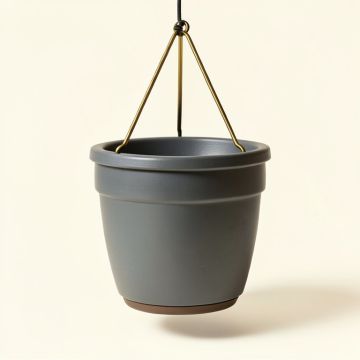 Triflora Hanging Planter (synthetic illustration; no displayed measurements)
