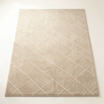 Fern Crest Rectangular Area Rug - Beige (synthetic illustration; no displayed measurements)
