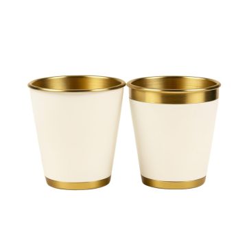 Aiden 2 Piece Metal Pot Planter Set