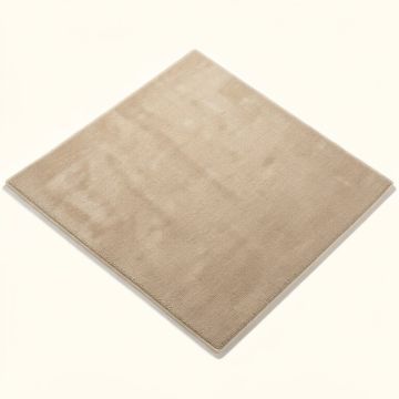Rowen Beige Area Rug (synthetic illustration; no displayed measurements)