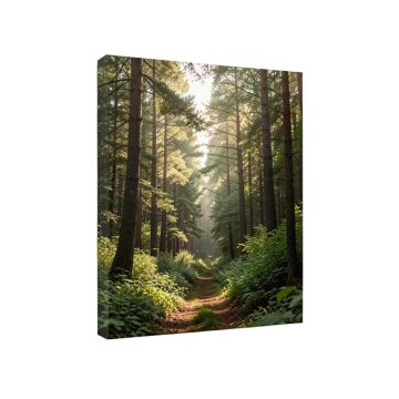 Beautiful Forest Morning Panorama - Wrapped Canvas Photographic Print