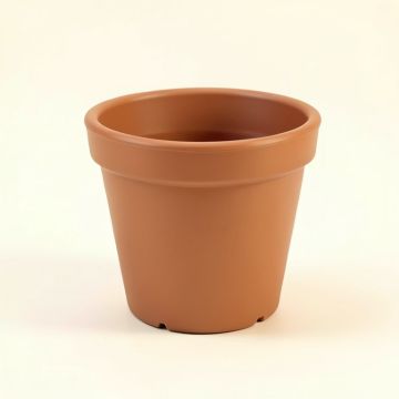 Feliz Plastic Nursery Pot (synthetic illustration; no displayed measurements)