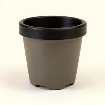 Classico Ls Self-Watering Plastic Pot Planter (synthetic illustration; no displayed measurements)