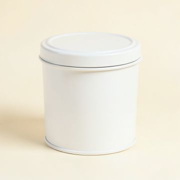 River Branch Storage Canister With Lid - White (synthetic illustration; no displayed measurements)
