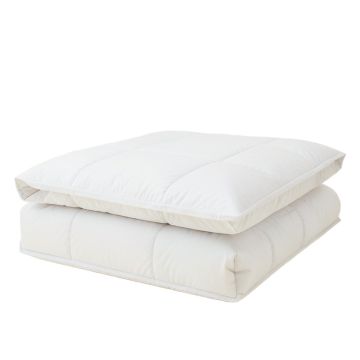 Casey 7 Piece Comforter Set