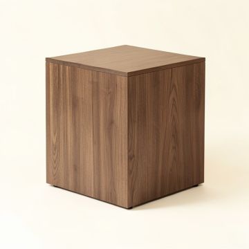 Drusilla End Table (synthetic illustration; no displayed measurements)